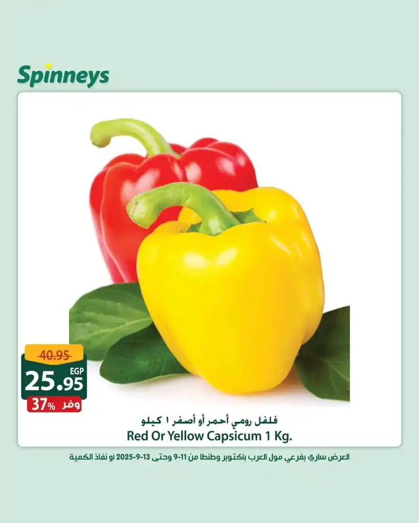 Spinneys Egypt Offers September 2025
