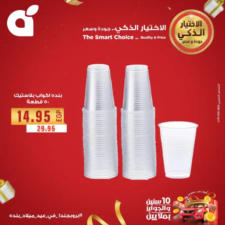 Panda Egypt Offers 2025