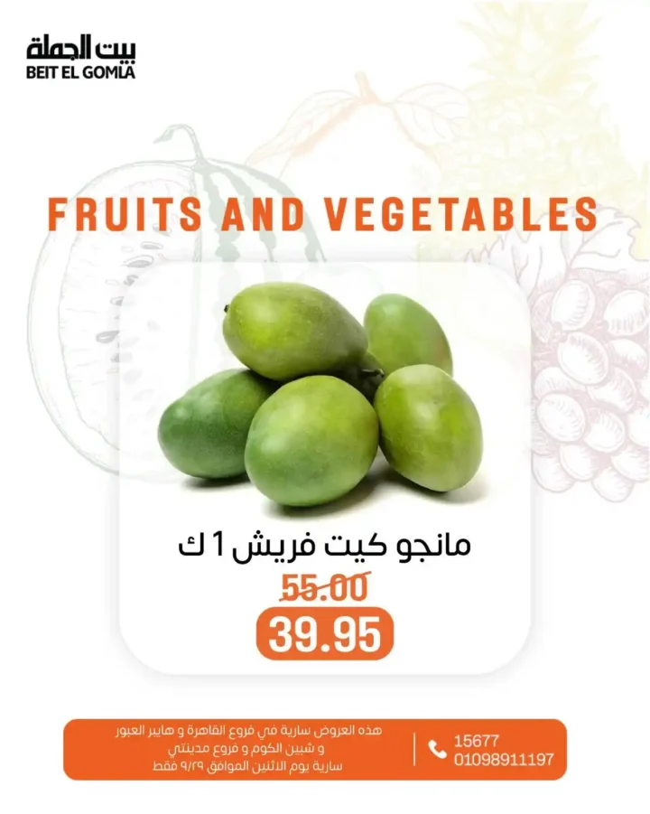 عروض بيت الجملة 