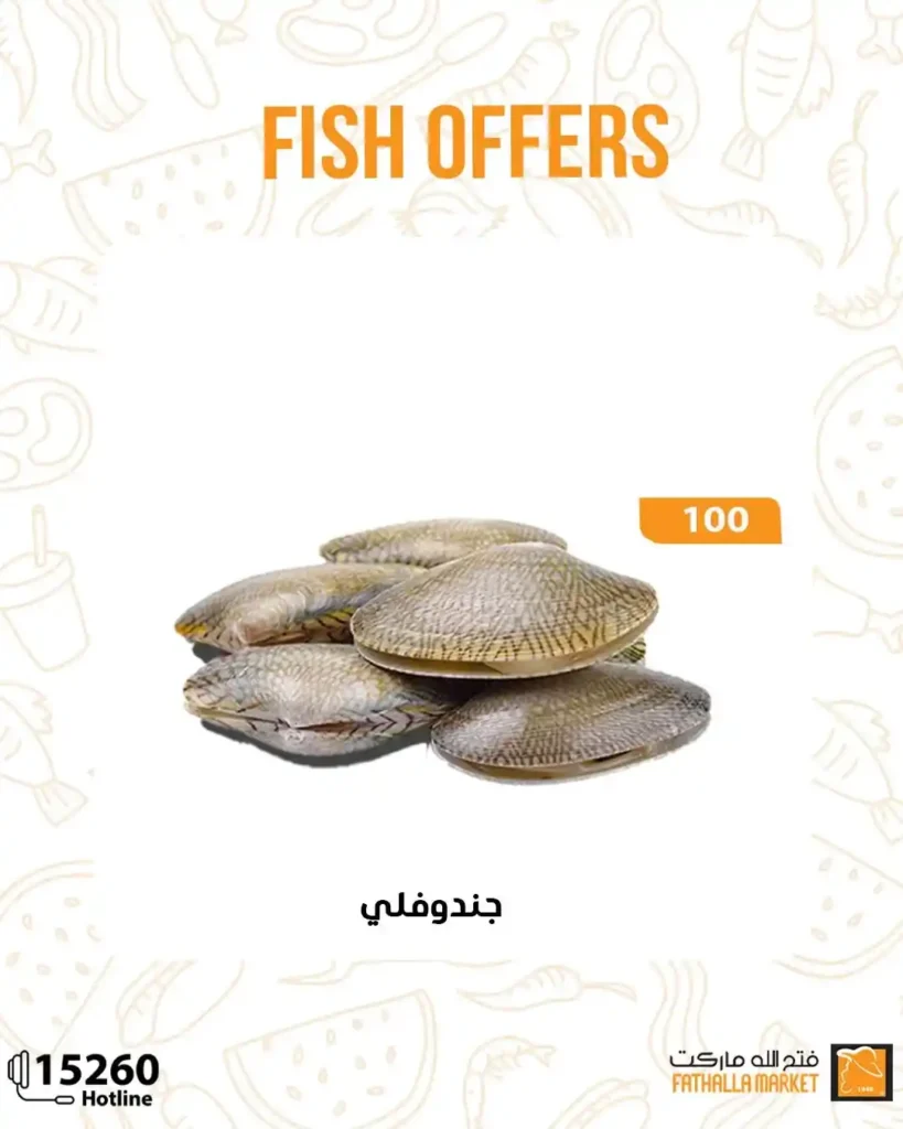 Fatah Allah Market offers