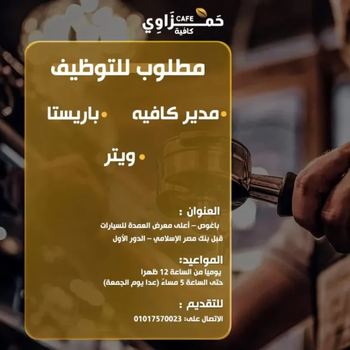 Hyper Galab Hamzawi and Cafe Hamzawi jobs in Fayoum