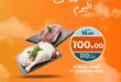 Kazyon offers today, Wednesday, October 8, 2025 - I provide you with the best and closest offers that you cannot miss