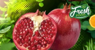 عروض سوبر ماركت الحسيني على الخضار والفاكهة حتى 26 أكتوبر – نضارة وطعم وسعر ولا أروع 4 عروض سوبر ماركت الحسيني على الخضار والفاكهة حتى 26 أكتوبر – نضارة وطعم وسعر ولا أروع