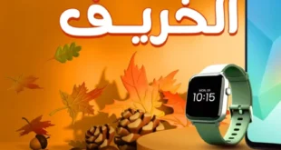 1 عروض مصر عروض جملة ماركت 26 5