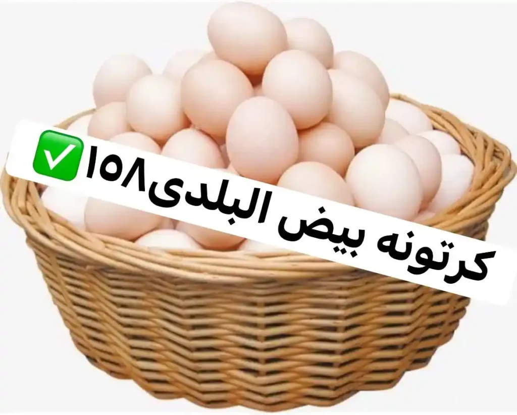 عروض سوبر توفير في أكتوبر 2025 – خصومات نارية بمناسبة احتفالات النصر