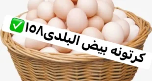 1 عروض مصر عروض سوبر توفير 1 1
