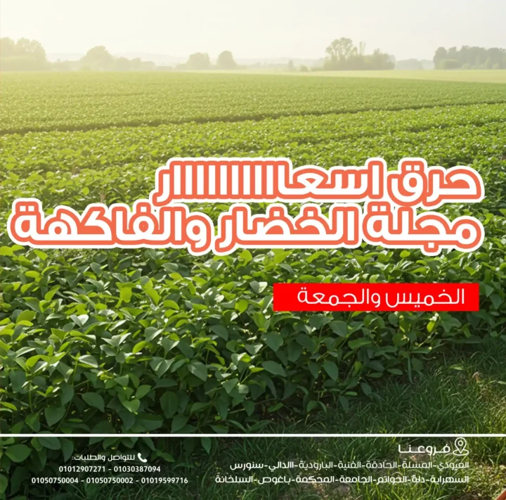 عروض غلاب ماركت على الخضار والفاكهة 