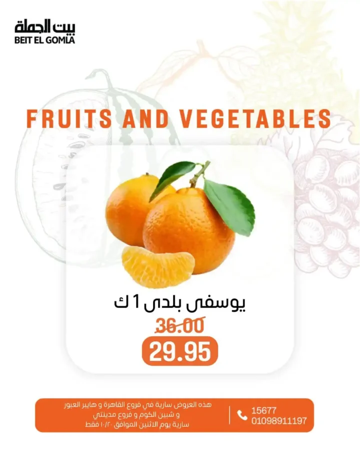 عروض بيت الجملة على الخضار والفاكهة – الاثنين 20 أكتوبر 2025 | أسعار طازة وتوفير كبير 16 عروض بيت الجملة على الخضار والفاكهة – الاثنين 20 أكتوبر 2025