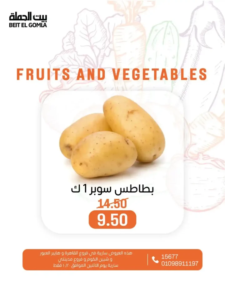 عروض بيت الجملة على الخضار والفاكهة – الاثنين 20 أكتوبر 2025 | أسعار طازة وتوفير كبير 2 عروض بيت الجملة على الخضار والفاكهة – الاثنين 20 أكتوبر 2025 | أسعار طازة وتوفير كبير