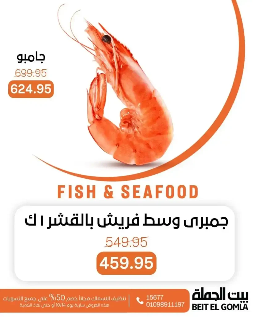 عروض بيت الجملة 