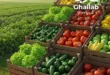 عروض غلاب ماركت على الخضار والفاكهة