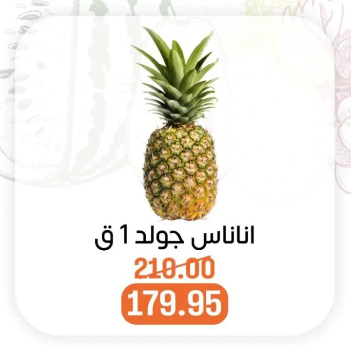 Wholesale House Offers Monday, October 6, 2025 - Fresh Vegetables and Fruits at Amazing Prices