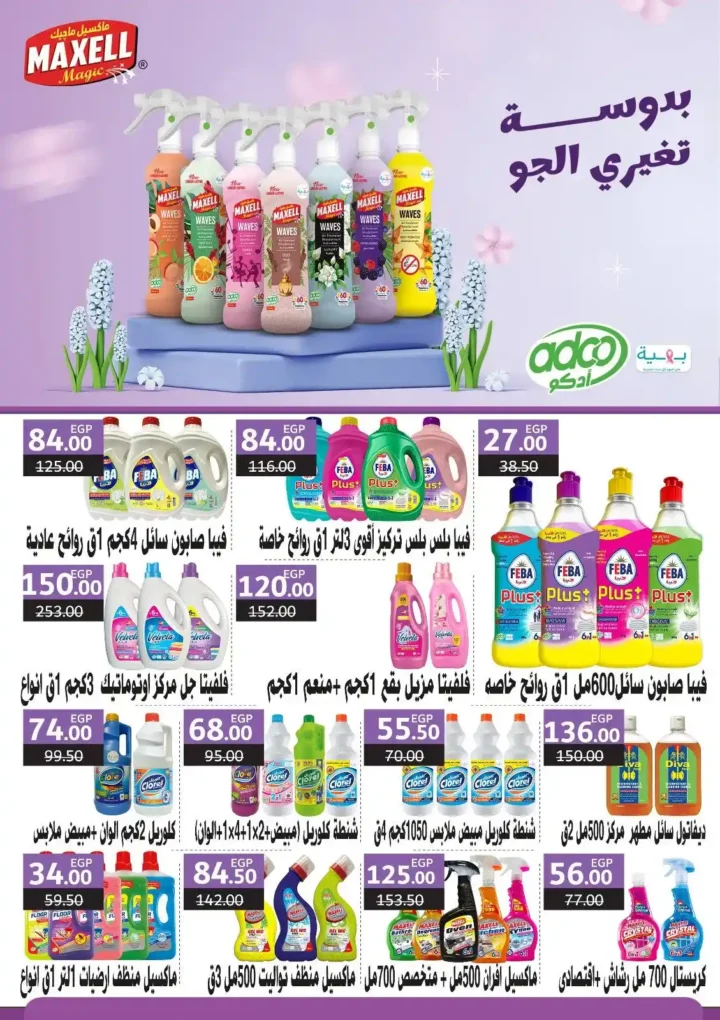 Saray Offers