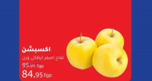 عروض إكسبشن ماركت من 23 إلى 25 أكتوبر 2025 – 🛒 وفر أكتر مع أقوى تخفيضات الأسبوع! 65 Exception Market offers from October 23 to 25, 2025 - 🛒 Save more with the biggest discounts of the week!