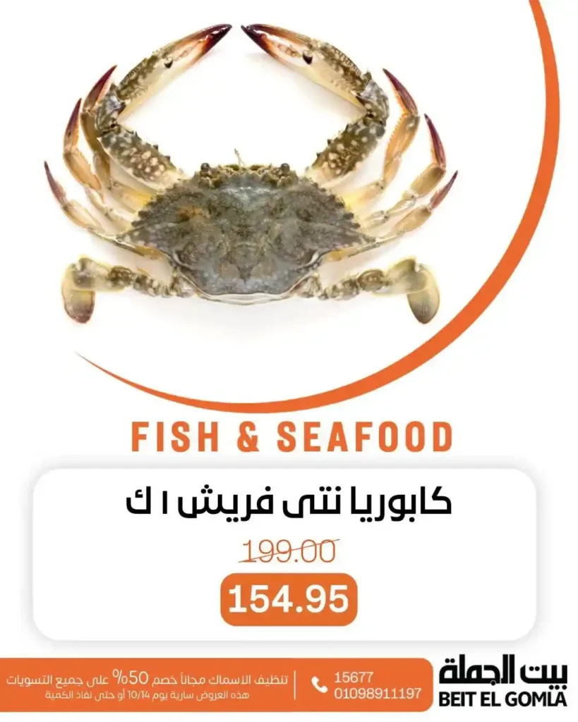 عروض بيت الجملة 