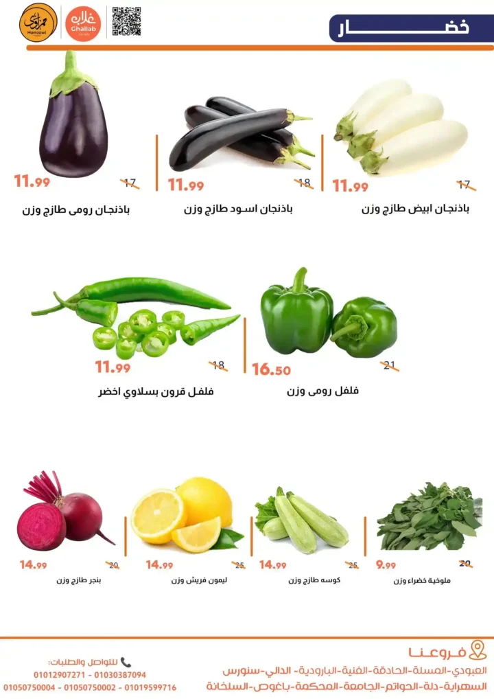 عروض غلاب حمزاوي على الخضار