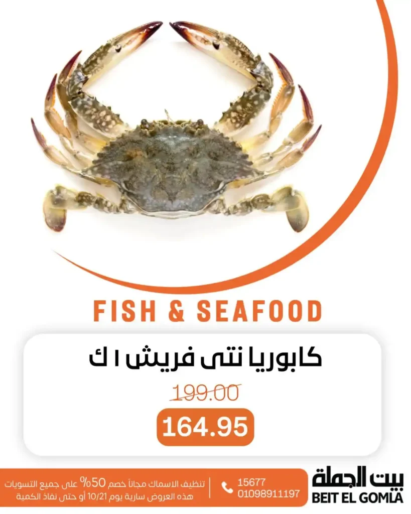 بيت الجملة