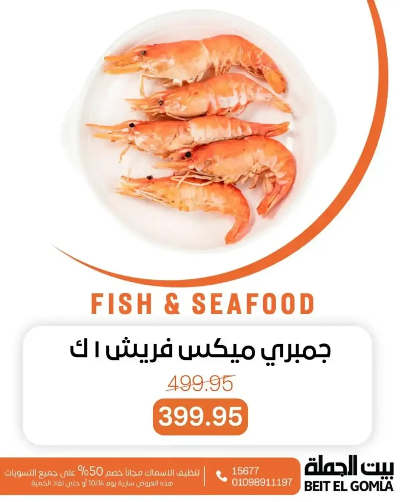 عروض بيت الجملة 