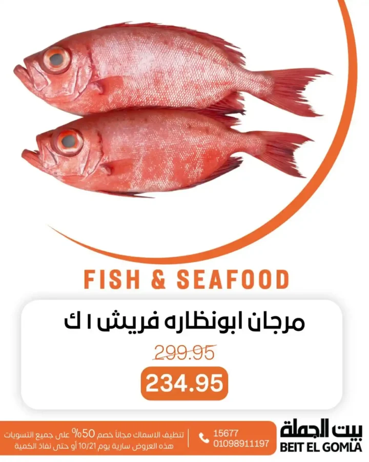 بيت الجملة