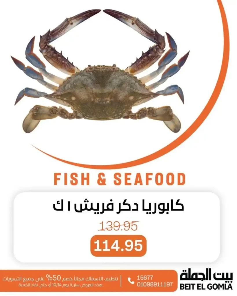 عروض بيت الجملة 