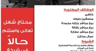 وظائف بندق ماركت Bondok Market – فرص عمل فورية في شركة ألبان بندق لجميع المؤهلات (كاشير – بيع مباشر – عمال – منسقين رفوف) أكتوبر 2025
