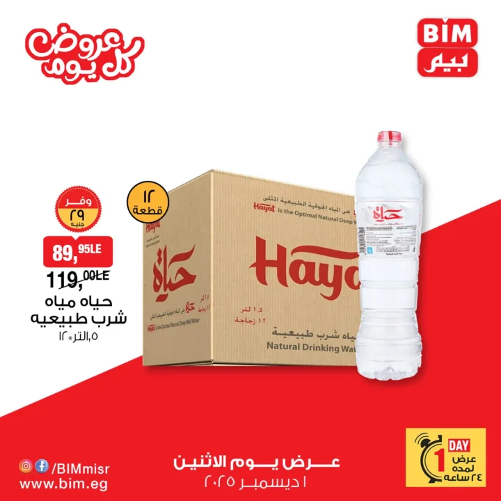 عرض اليوم الواحد من بيم BIM – الاثنين ١ ديسمبر ٢٠٢٥💥