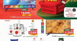 1 عروض مصر عروض بنده مصر 1 4