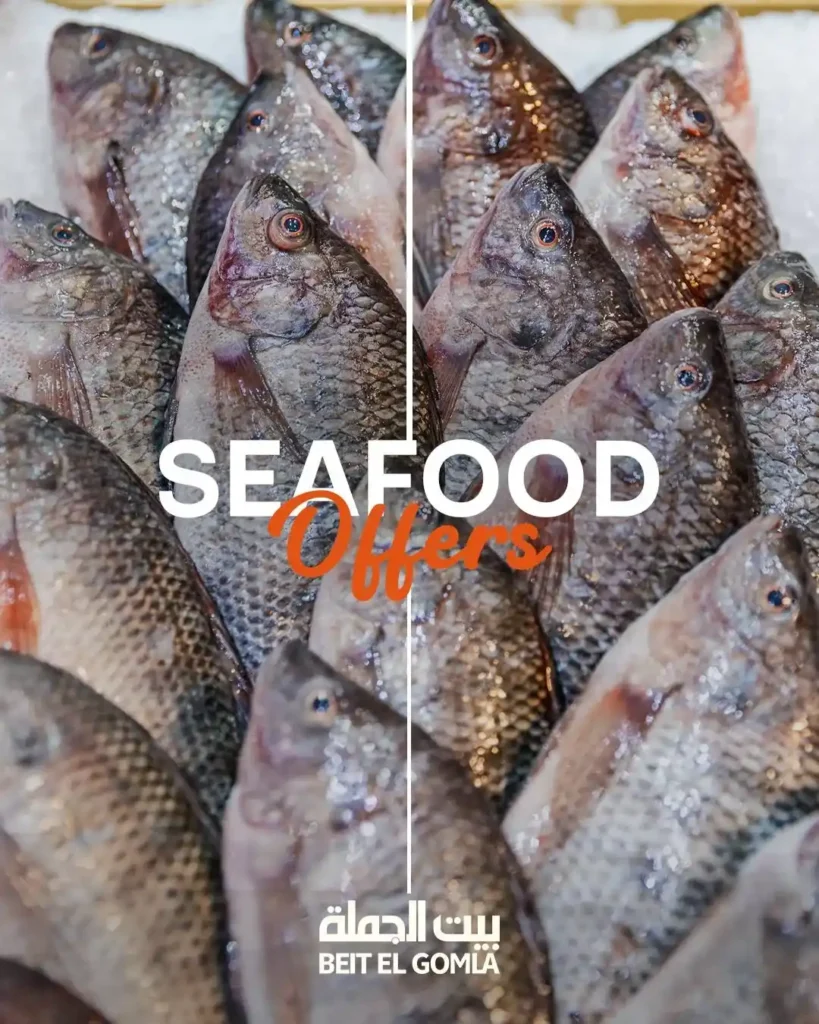 عروض بيت الجملة على الأسماك والسي فود نوفمبر 2025 | طعم البحر بأفضل سعر 1 عروض بيت الجملة