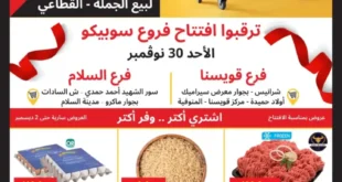 عروض سوبيكو الافتتاحية في قويسنا والسلام 2025 | أقوى الخصومات والمفاجآت المنتظرة