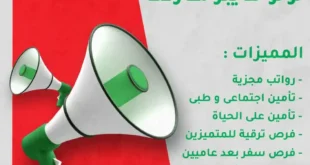 وظائف لولو هايبر ماركت مصر 2025 | انضم إلى فريق العمل المميز في فروع لولو