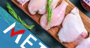 Metro Market November 2025 Offers | 🛒 Huge discounts on cheese, cleaning supplies, and exclusive products 🧀🧼