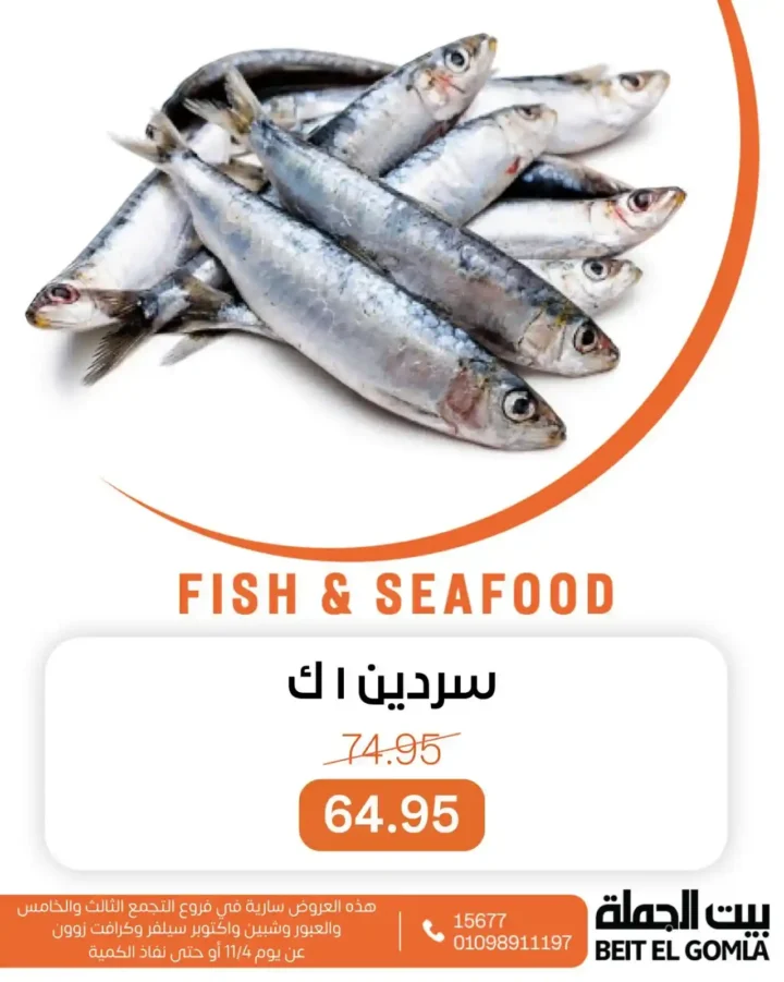 عروض بيت الجملة على الأسماك والسي فود نوفمبر 2025 | طعم البحر بأفضل سعر 6 عروض بيت الجملة