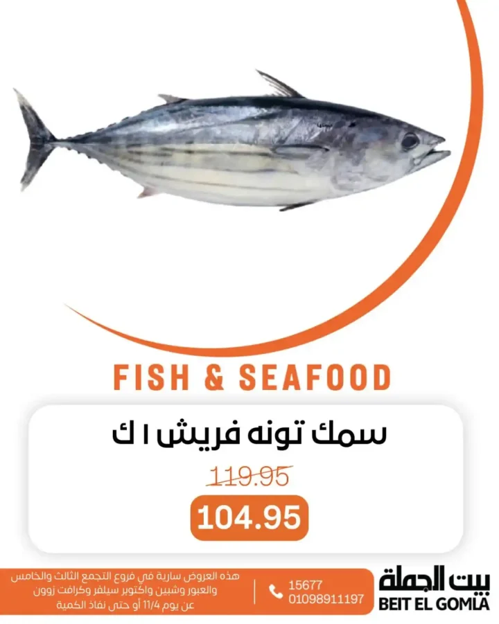 عروض بيت الجملة على الأسماك والسي فود نوفمبر 2025 | طعم البحر بأفضل سعر 2 عروض بيت الجملة