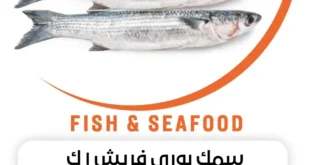 عروض بيت الجملة على الأسماك والسي فود نوفمبر 2025 | طعم البحر بأفضل سعر
