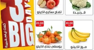 أقوى عروض العلاف ماركت ٣ أيام فقط – أسعار الخضار والفواكه تنهار دلوقتي!