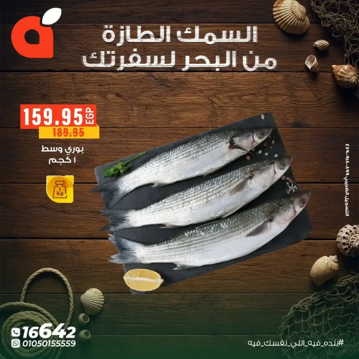 عروض بنده مصر على الأسماك الطازجة حتى 11 نوفمبر – من البحر لسفرتك بأسعار لا تقارن 4 عروض بنده مصر على الأسماك الطازجة حتى 11 نوفمبر