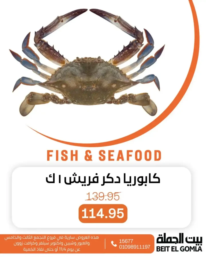 عروض بيت الجملة على الأسماك والسي فود نوفمبر 2025 | طعم البحر بأفضل سعر 15 طعم البحر بأفضل سعر