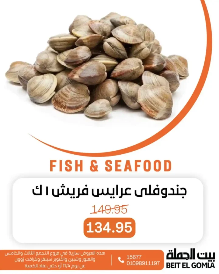 عروض بيت الجملة على الأسماك والسي فود نوفمبر 2025 | طعم البحر بأفضل سعر 11 طعم البحر بأفضل سعر