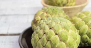 عروض سعودي ماركت نوفمبر 2025 | 🛒 خصومات موسم الشتاء على الجبن ومنتجات الألبان والمجمدات ❄️