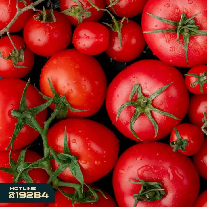 عروض عرفة ماركت اليوم 30 / 12| خضار وفاكهة فريش بأفضل سعر في شادر الثلاثاء 1 عروض عرفة ماركت اليوم 30 / 12| خضار وفاكهة فريش