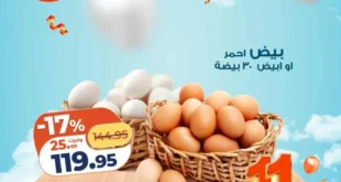 Kazyon Market offers for Monday, December 8, 2025 - One-day offers and limited quantities!