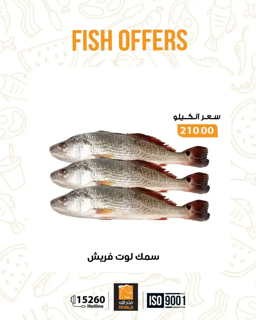 عروض فتح الله ماركت اليوم على الاسماك الفريش خصومات قوية حتى 7 يناير. 12 عروض فتح الله