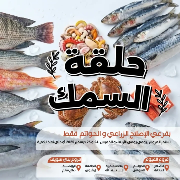 عروض عرفة ماركت اليوم: أسعار السمك والجمبري الطازج في حلقة السمك. 1 عروض عرفة ماركت اليوم: أسعار السمك والجمبري الطازج في حلقة السمك