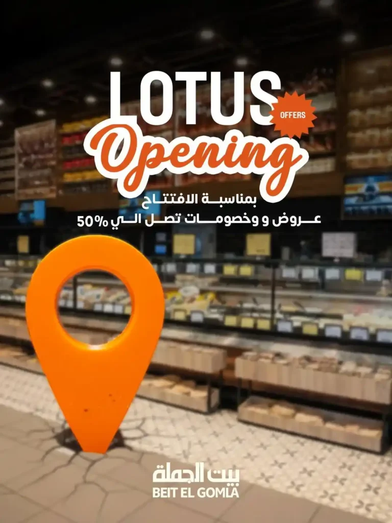عروض بيت الجملة في اللوتس مدينة نصر 2026 خصومات تصل حتى 50% على كل الأقسام. 1 عروض بيت الجملة في اللوتس مدينة نصر 2026 خصومات تصل حتى 50% على كل الأقسام
