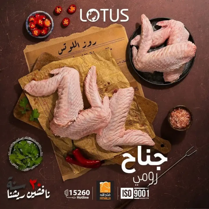 عروض فتح الله ماركت 2026 | مفهوم جديد للحوم بمعايير جودة عالية. 12 عروض فتح الله ماركت 2026 | مفهوم جديد للحوم بمعايير جودة عالية