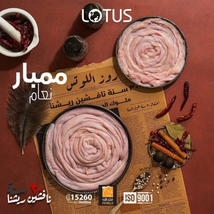 عروض فتح الله ماركت 2026 | مفهوم جديد للحوم بمعايير جودة عالية. 14 عروض فتح الله