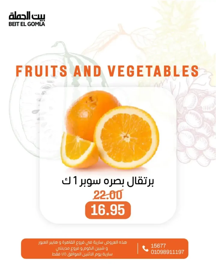 عروض بيت الجملة اليوم على الخضار والفاكهة باسعار تنافسية لا تفوت. 16 عروض بيت الجملة