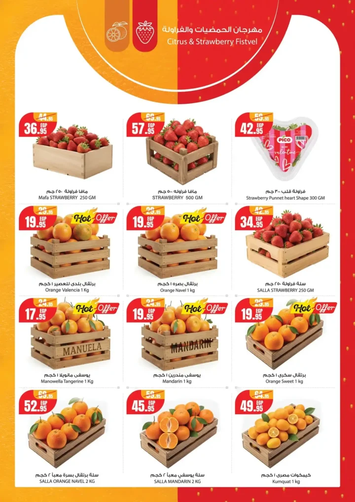 عروض جيان مصر من 1 إلى 7 يناير 2026 | خصومات قوية على الأغذية واللحوم والأسماك 9 عروض جيان مصر من 1 إلى 7 يناير 2026 | خصومات قوية على الأغذية واللحوم والأسماك