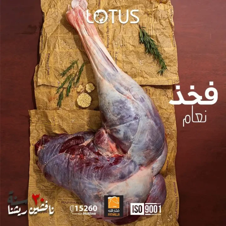 عروض فتح الله ماركت على لحوم النعام والرومي 2026 | تجربة جديدة لسفرة مميزة. 10 عروض فتح الله ماركت على لحوم النعام والرومي 2026 | تجربة جديدة لسفرة مميزة.