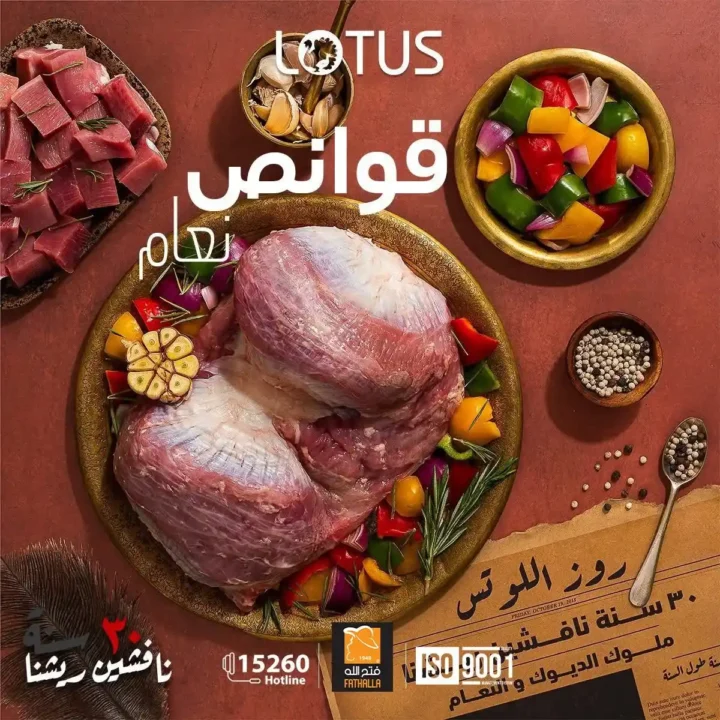 عروض فتح الله ماركت على لحوم النعام والرومي 2026 | تجربة جديدة لسفرة مميزة. 4 عروض فتح الله ماركت على لحوم النعام والرومي 2026 | تجربة جديدة لسفرة مميزة.